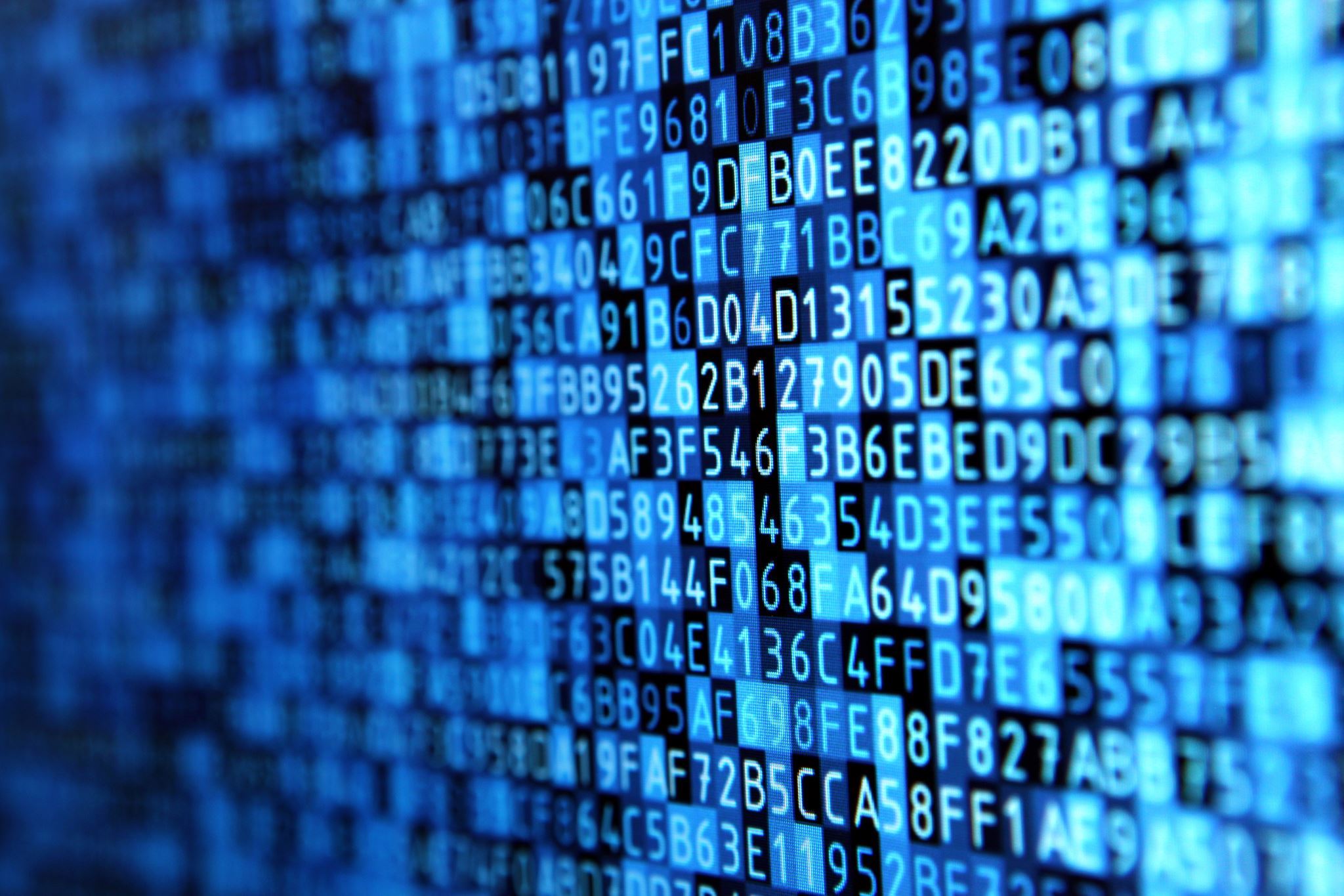 Programming-data-on-computer-monitor