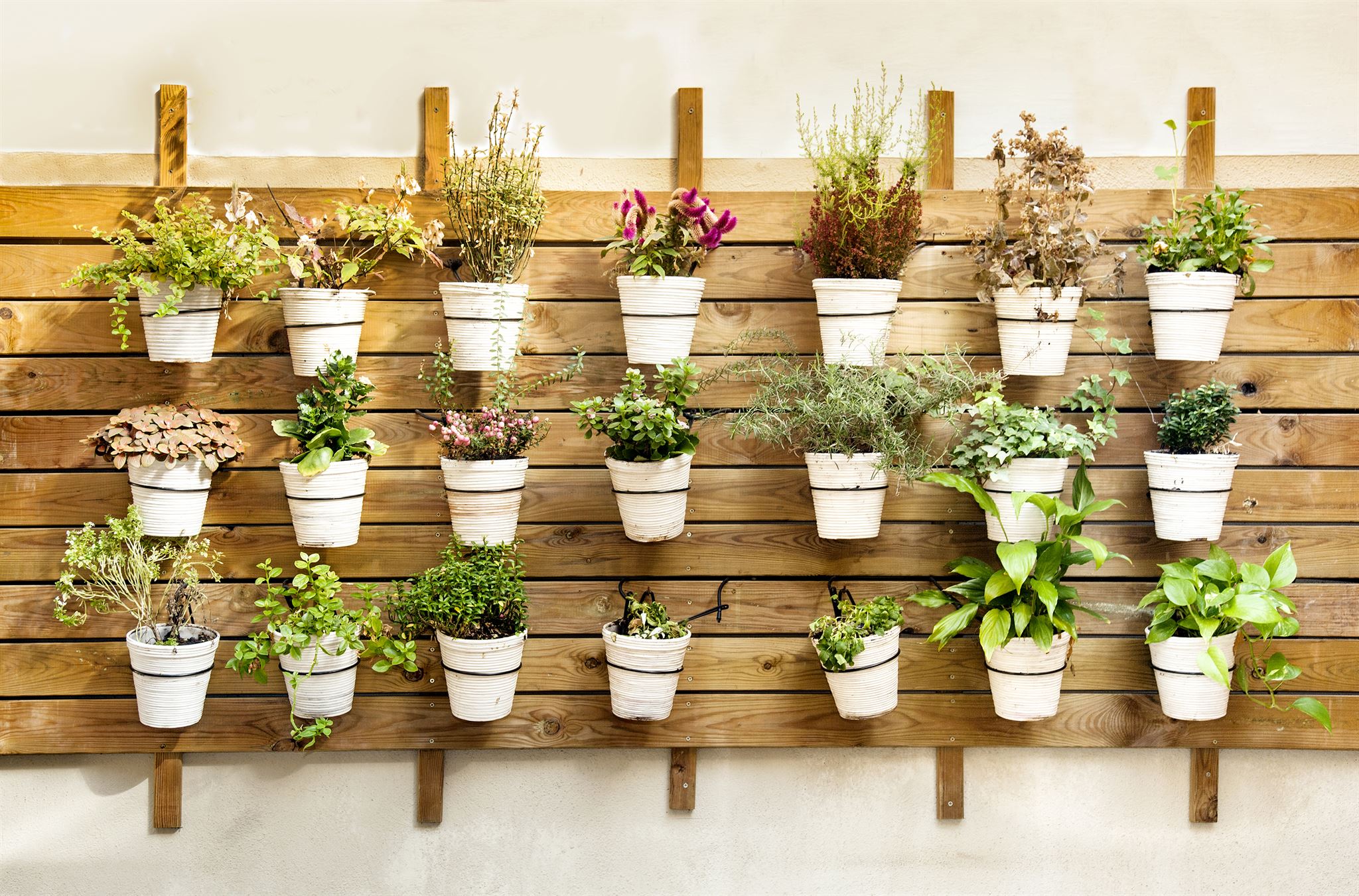Rustic-wood-and-potted-plant-wall